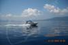 Compass 610